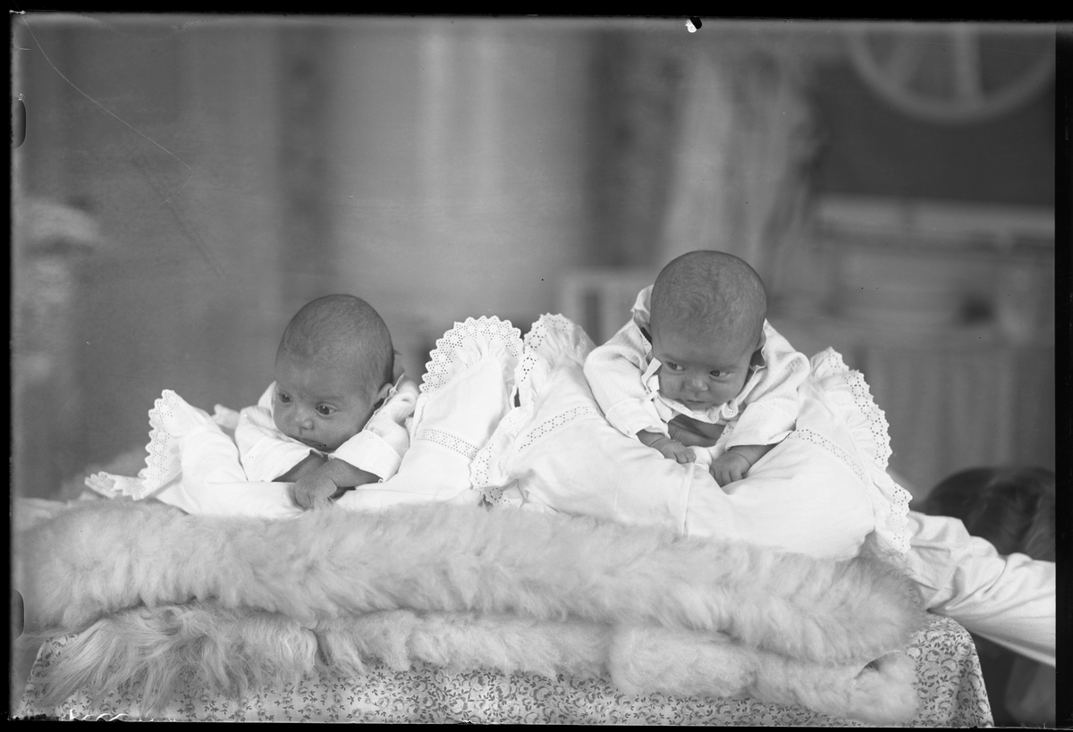Två bäbisar, ett tvillingpar, klädda i vitt ligger på mage över kuddar och fällar. I fotografens egna anteckningar står det "Ing[enjör] Bergs tvillingar".