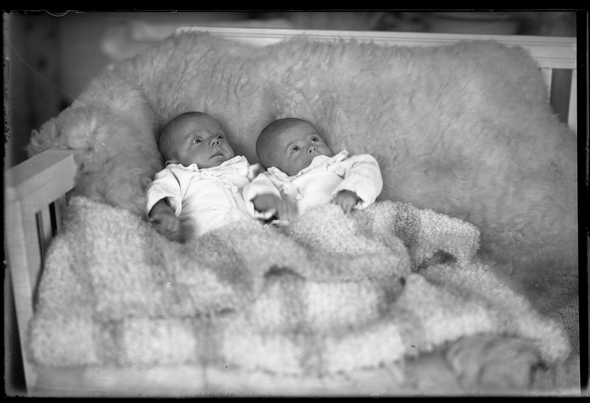 Två bäbisar, ett tvillingpar, klädda i vitt ligger nedbäddade i fällar. I fotografens egna anteckningar står det "Ing[enjör] Bergs tvillingar".