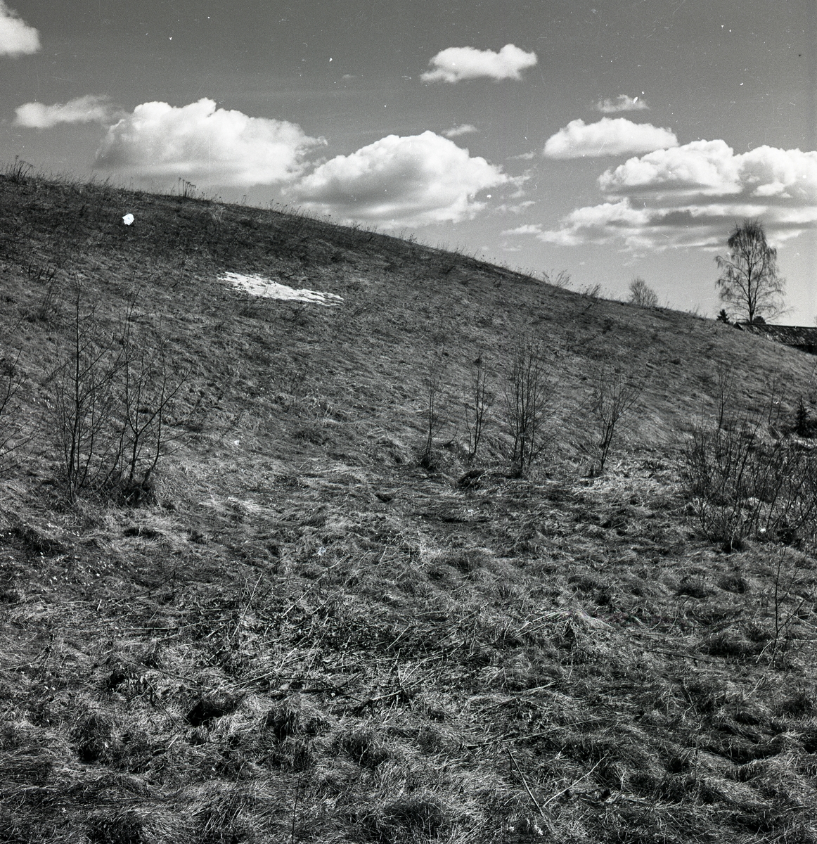 Sista snön vid Tossbro i april 1951.