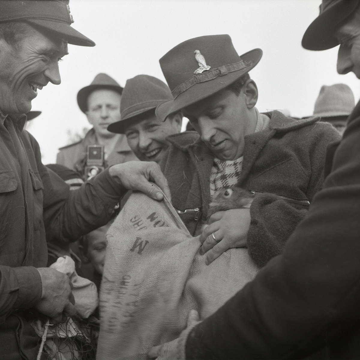 En grupp män placerar en hare i en säck vid harfångsten på Storön den 6 oktober 1957.