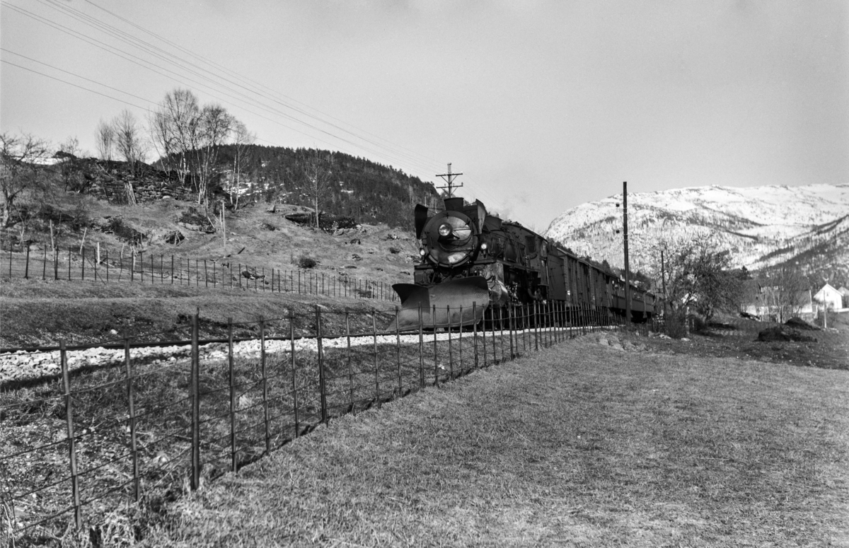 Påsketog retning Bergen, tog 7675, mellom Gjerdåker og Ygre, vest for Voss. Toget trekkes av damplokomotiv type 31b nr. 418.