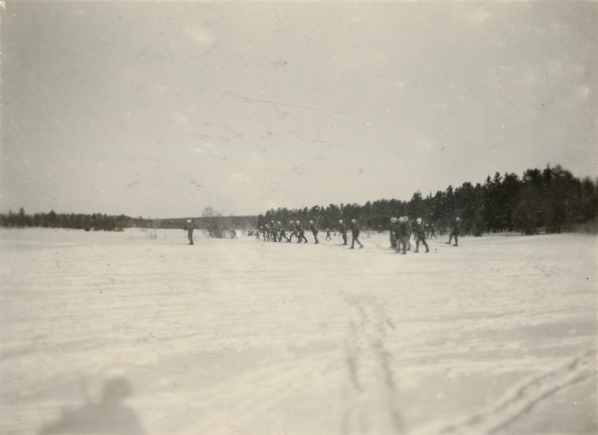 Text i fotoalbum: "Vinterövningarna vid Umeå 1916. Framryckning i skyttelinje."