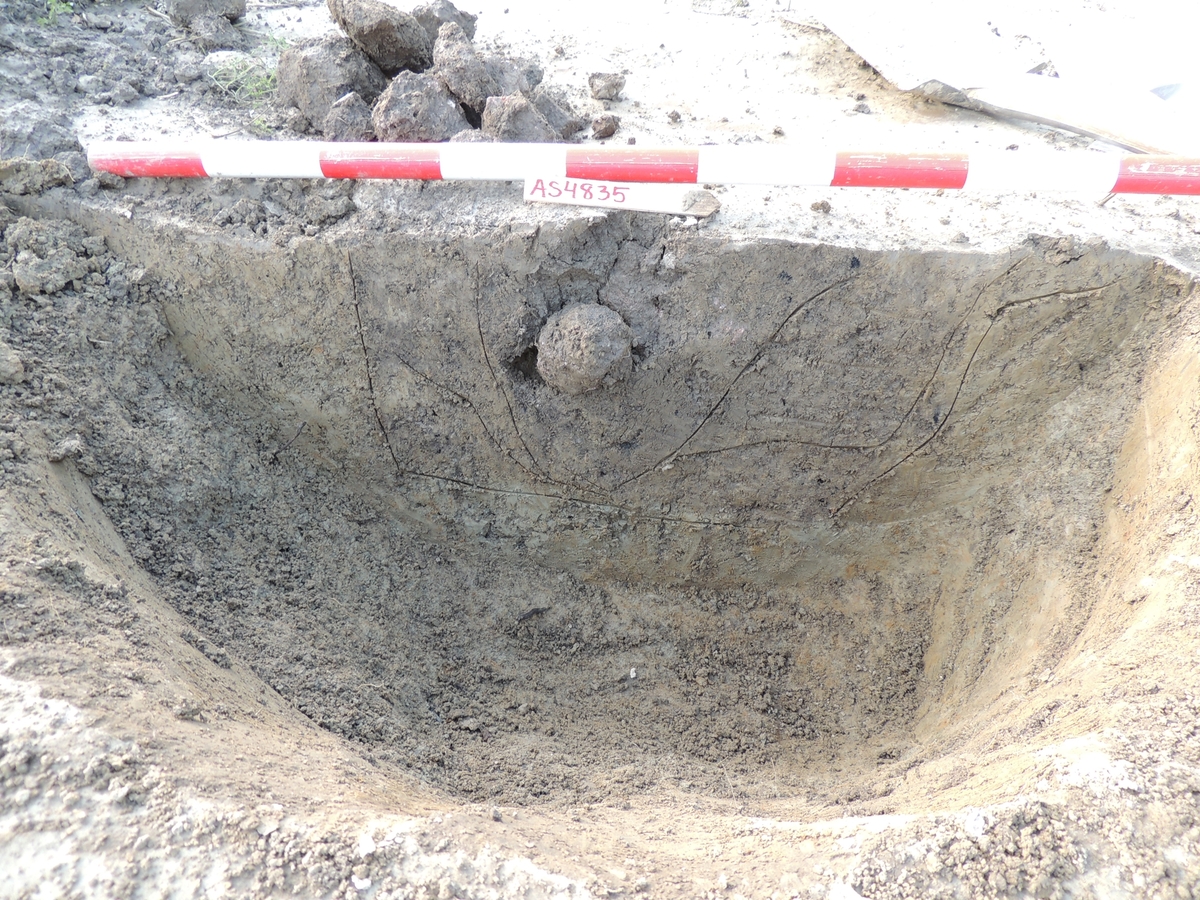 Arkeologisk förundersökning och undersökning, lokal 1, stolphål 4835 med stängningsoffer i form av löpare, Häggeby, Skuttunge socken, Uppland 2017