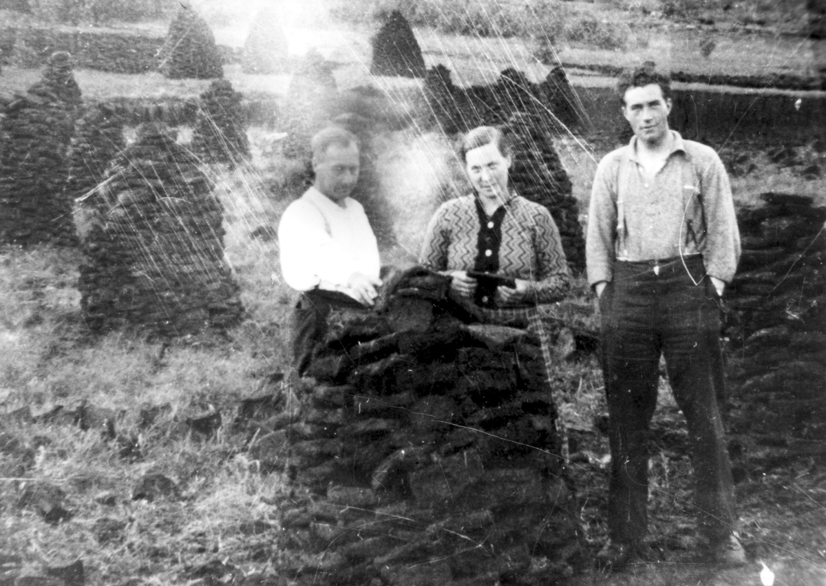 Magne, Ragnhild og Haldor Kofoed holder på å torve på Lutnes., ca 1940.