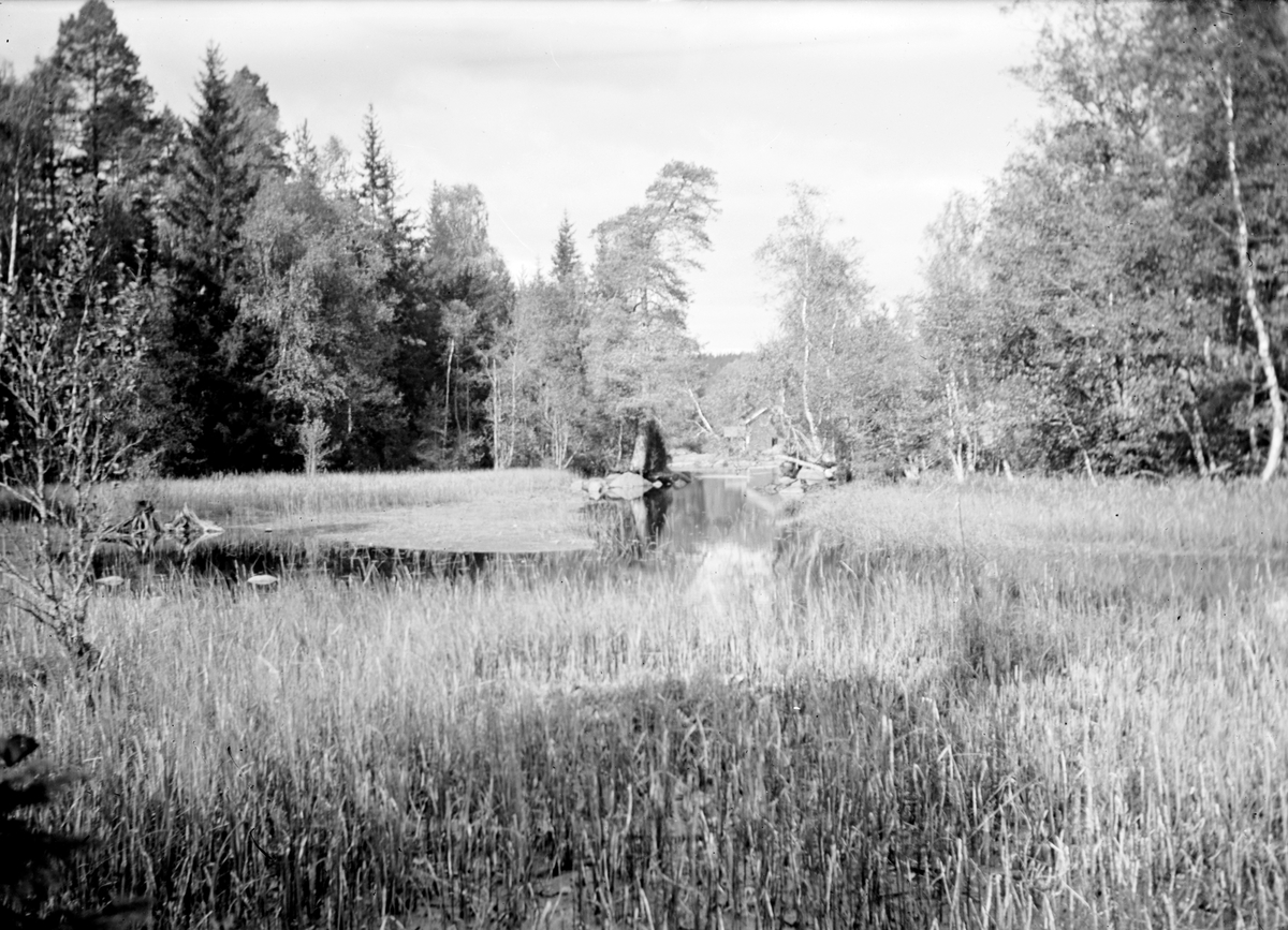 En landskapsbild från Kvill i Kråkshults socken, Eksjö.