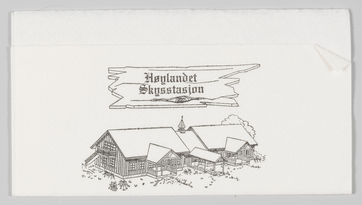 En tegning av Høylandet Skysstasjon i Namdal og en reklamtekst. 

Høylandet kommune eier og driver Skysstasjonen. Det leies ut rom til overnatting og møter, i samarbeid med Namdal Rehabilitering.