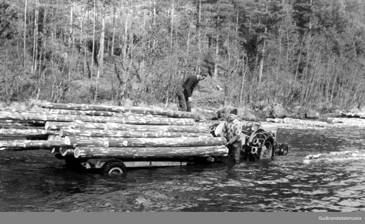 Tømmerfløyting i Lågen i 1950-åra. Tømmeret vart kjørt med traktor og velta i elva ved Lie.