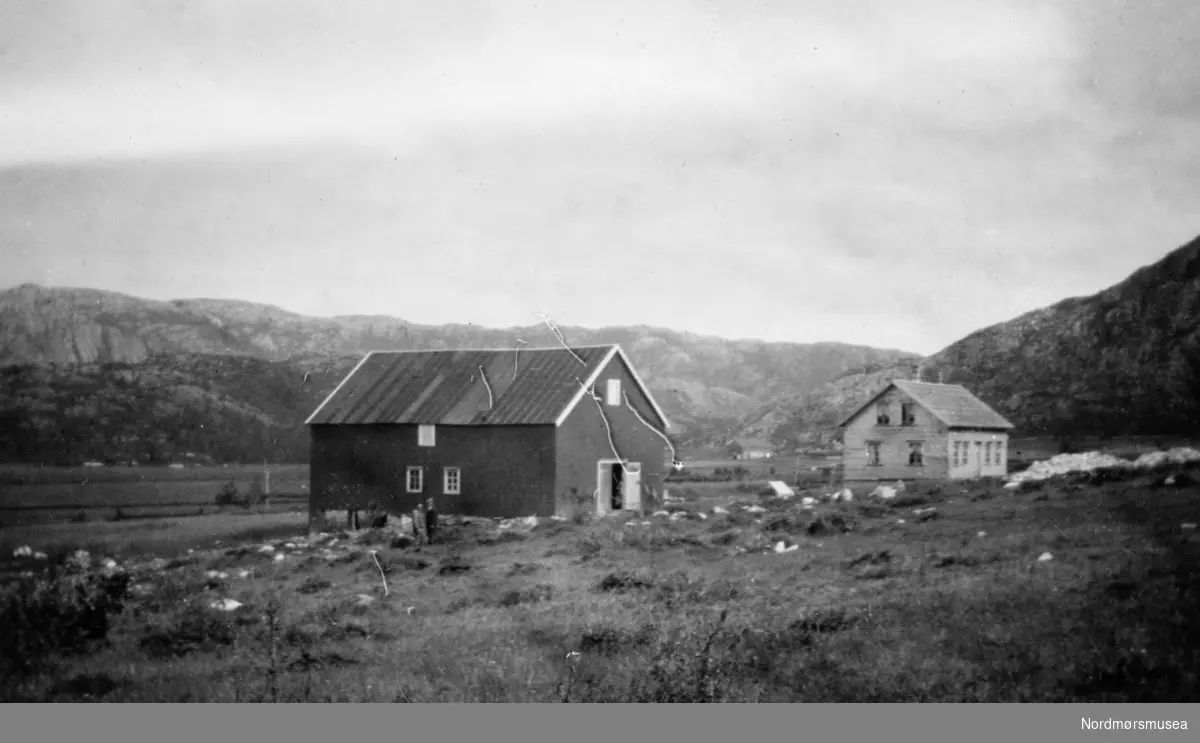 Foto fra et gårdsbruk på et bureisingsfelt. Et bilde fra en samling fotografier med bureisingsfelt i Norge. Originalmaterialet tilhører Norsk myrmuseum i Smøla kommune. Fra Nordmøre museums fotosamlinger.