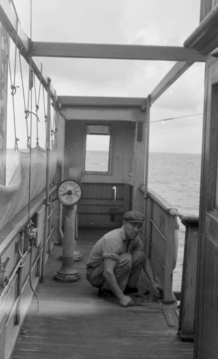 Til rors. En av mannskapet ombord i Suderøy. Suderøy på vei til fangstfeltet.