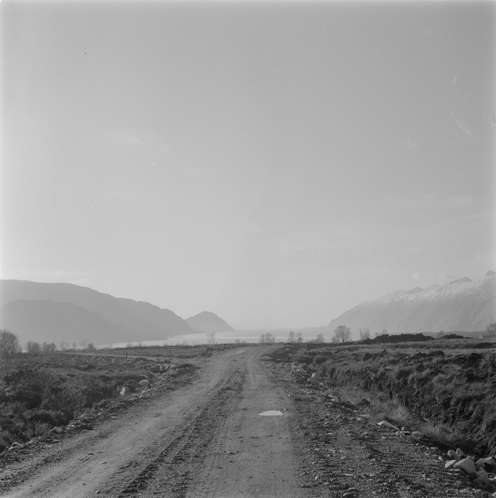 Veien på Sundøya. Utsikt utover Sørfjorden.