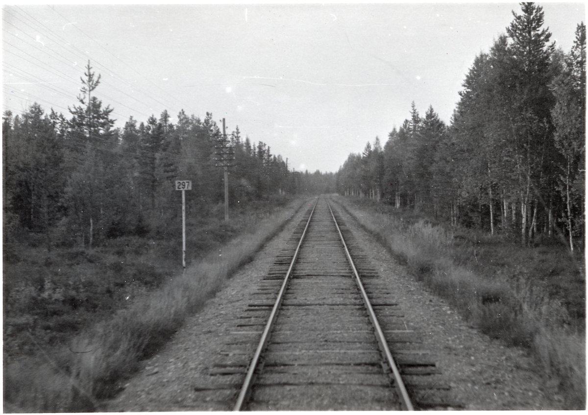 Vy över järnvägsspåret på sträckan mellan Sörsjön - Öjvallberget. Kilometerskylt 297.