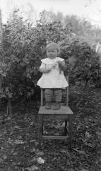 Portrett av liten pike stående på stol utendørs.