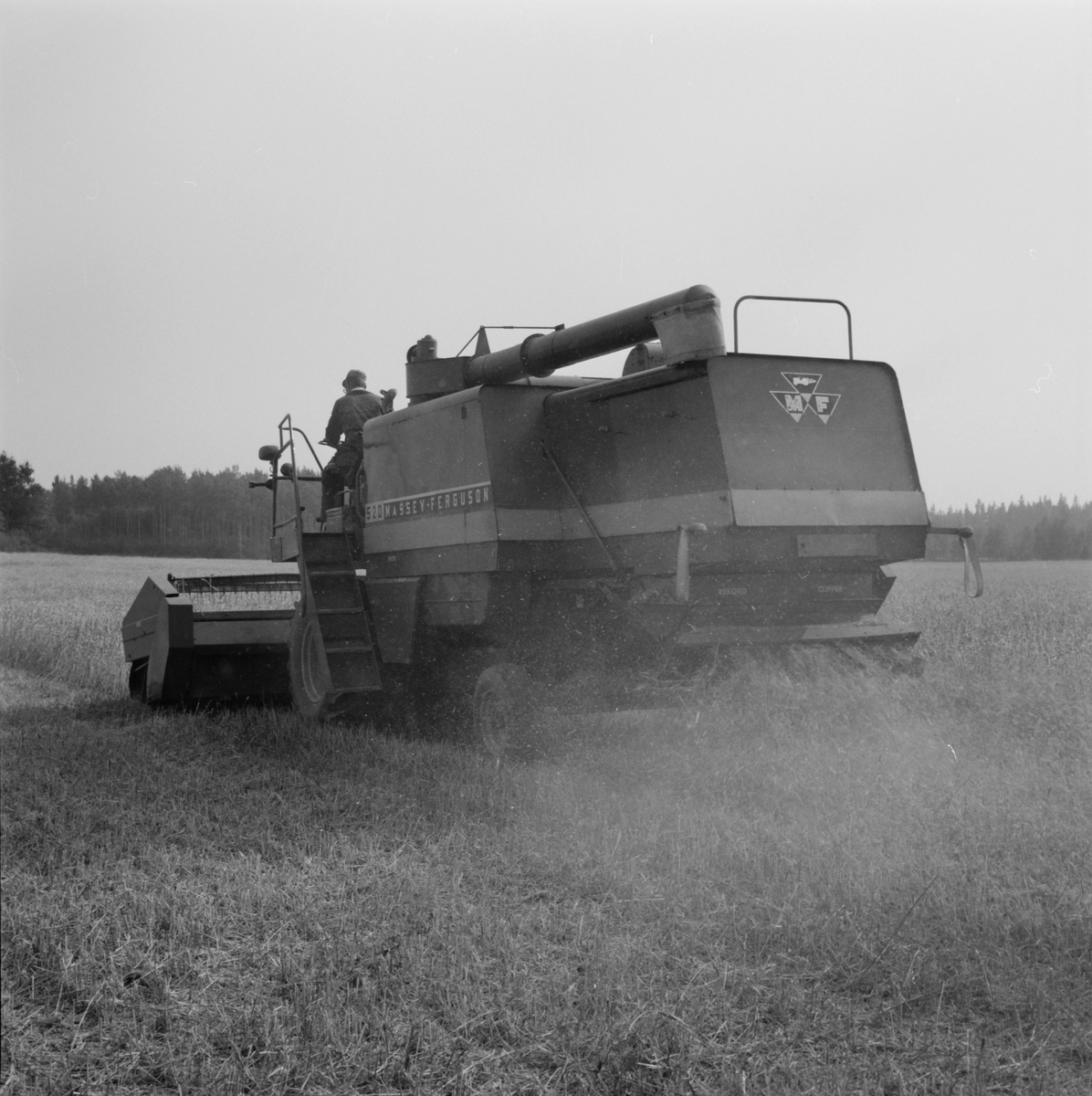 Jordbrukare Ove Leijon tröskar en kornåker, Stora Bärsta, Uppsala-Näs socken, Uppland september 1981