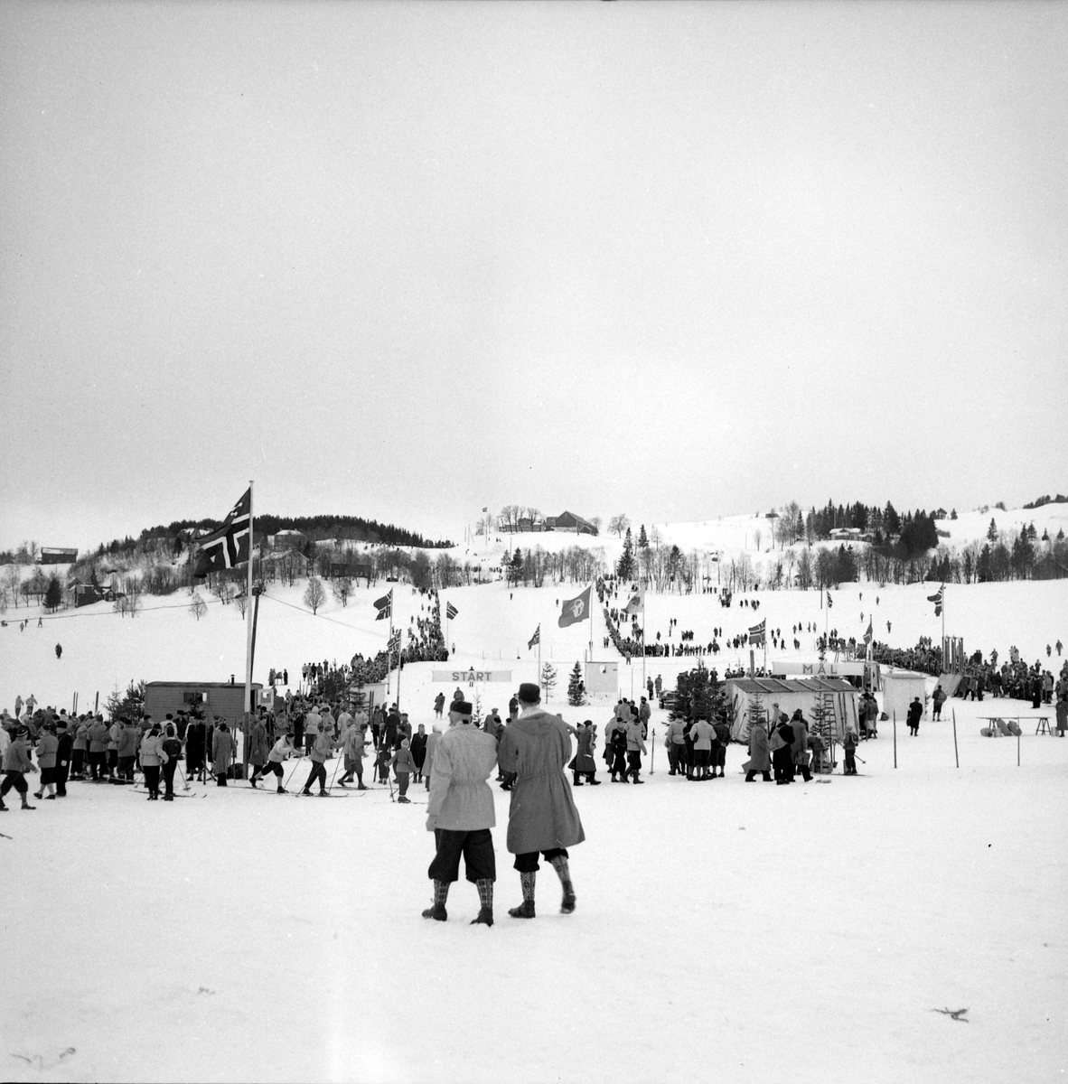Hopprenn i Granåsen under NM på ski