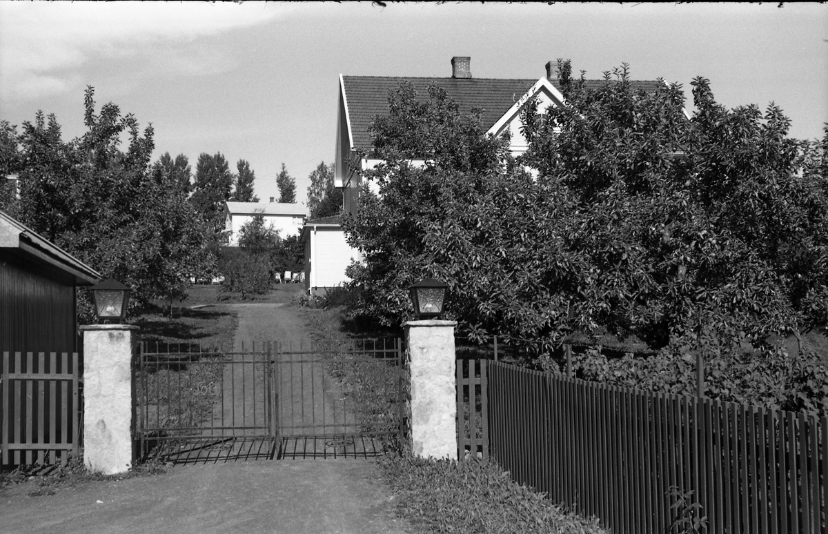 Innkjøringa til eiendommen Sole ved Vennevold i Østre Toten.