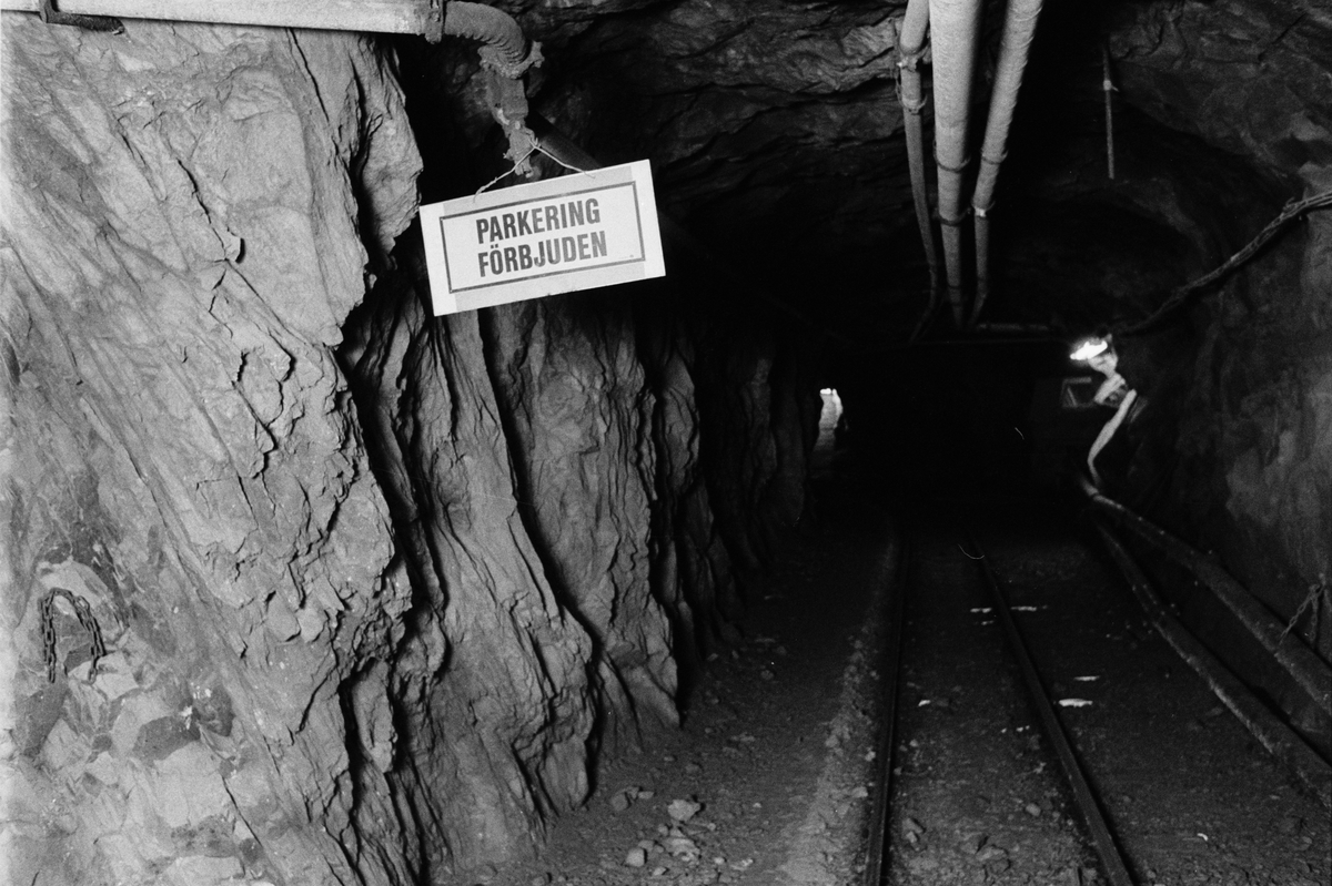 Gruvbyggarna Tomasz Stoltz  och Björn Karberg transporterar en tralla på järnvägsrälsen, 350-metersnivån, gruvan under jord, Dannemora Gruvor AB, Dannemora, Uppland oktober 1991