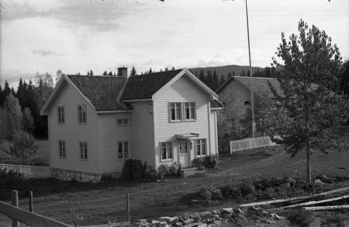 Muligens bruket Dammen på Krabyskogen. Seks bilder fra oktober 1955.