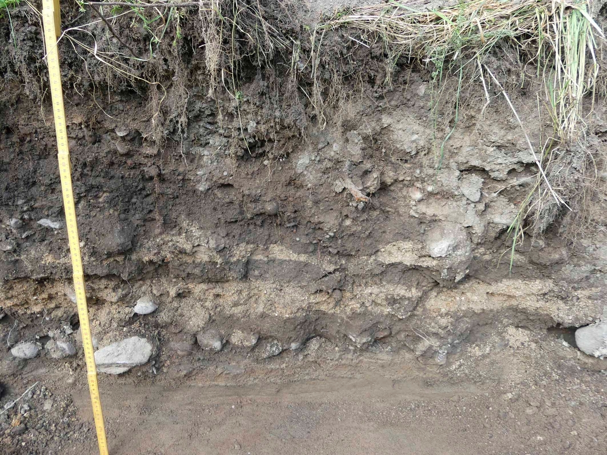 Arkeologisk förundersökning, sektion med sandlager efter väg i schakt 293 inom sydöstra ytan, Groaplan, Gamla Uppsala 2018
