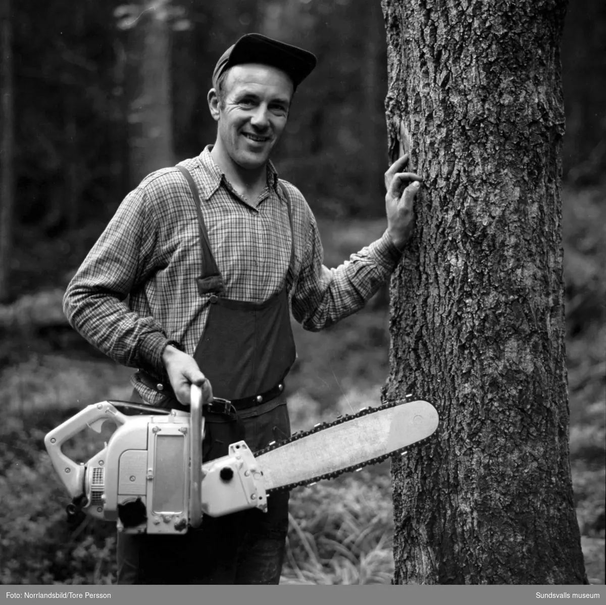 Skogsarbetaren Per From i Erikslund jobbar med sin motorsåg.