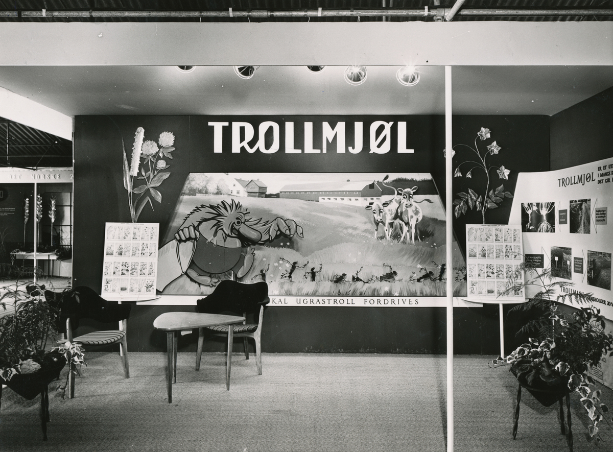 Utstillingsstand for Trollmjøl på Odda Høgre skule på 1960-talet.
