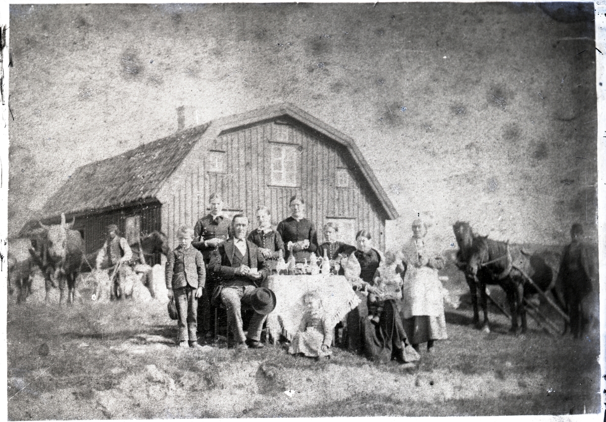 Familjen Didriksson vid Kristineberg på 1870-talet
