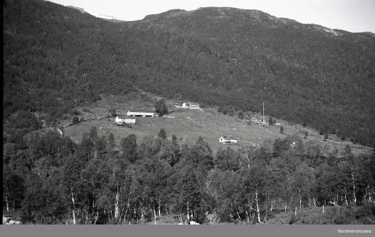 Moseterstølen i Søyådalen, Surnadal.