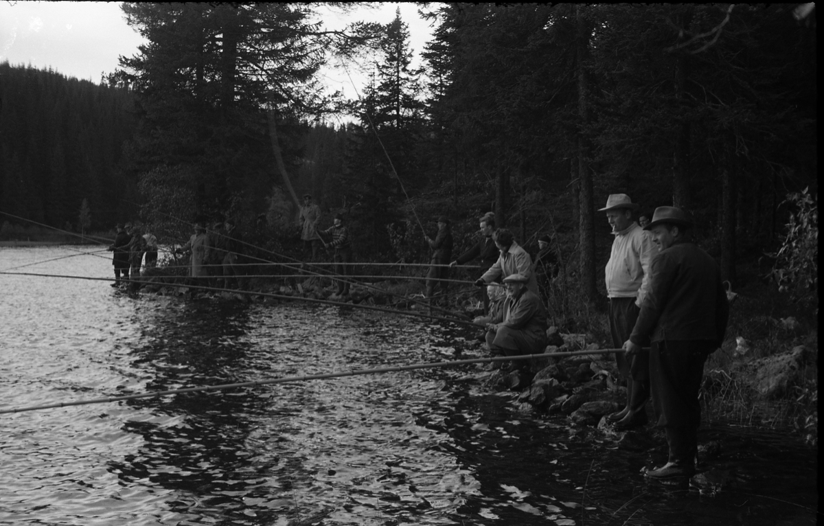 Serie på 24 bilder fra fiskekonkurranse ved Skjeppsjøen på Totenåsen høsten 1957.