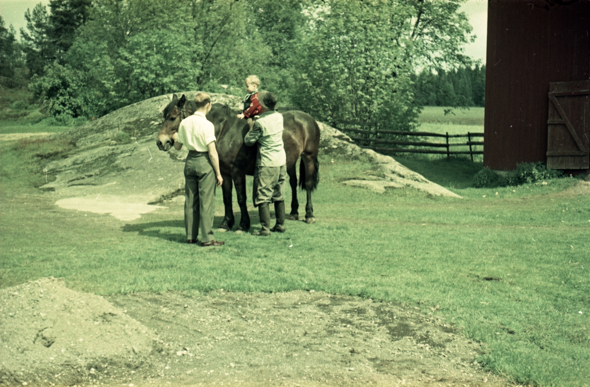 Geir Huset på hesterygg mens far Arnulf passer hesten, og farfar Jens Huset passer gutten. Stedet er gården Huset i Askim juni 1957.