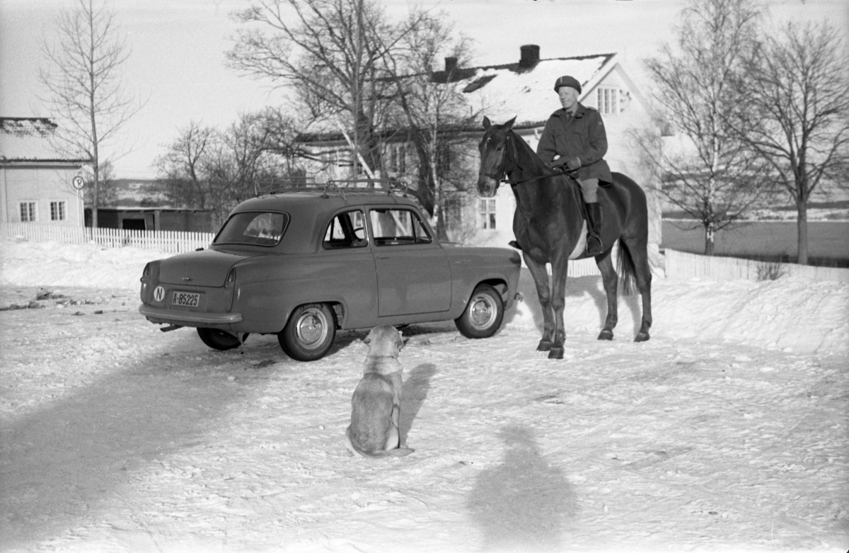 Fire bilder av Bjart Ording til hest på Starum ca. årsskiftet 1957/1958. De to første bildene er tatt foran "Messa", de to neste ute i terrenget. Bilen på de to første bildene er iflg. informant en Ford Anglia av årsmodell 1954-58.