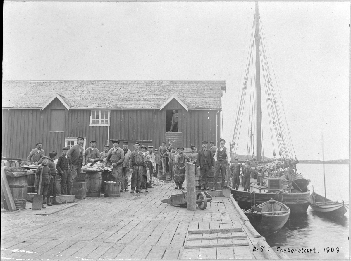 Bankfiske. Arbeid med lossing, flekking av brosme og salting, Vasøya, Vallersund, Bjugn.