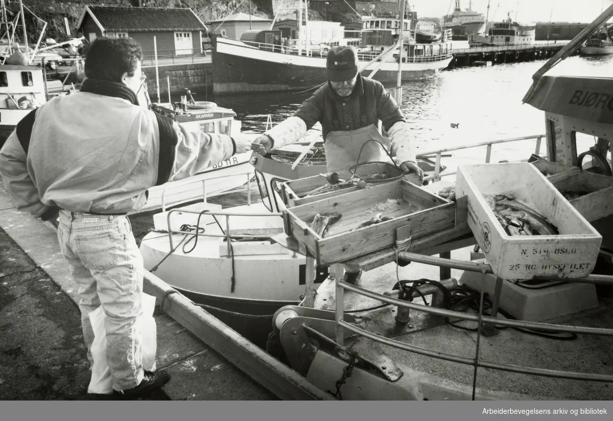 Havna. Fiskehandel. November 1992