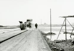 Dekkelegging i Røst Nordland 1973