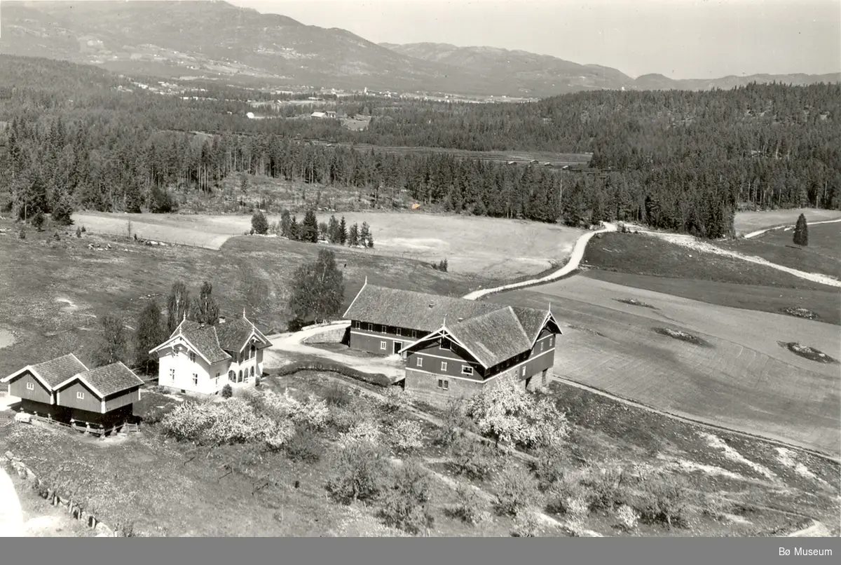 Flyfoto av Øvre Børte 7. juni 1958.