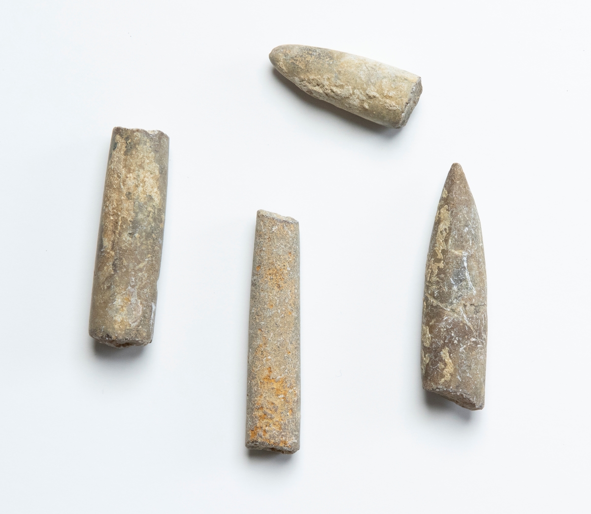 Fossil av belemniter (utdöda bläckfiskar), 4 stycken. Dessa är stenliknande och spolformade samt avbrutna.

JM 10870:1, spetsig respektive trubbig ände, längre.
JM 10870:2, spetsig respektive trubbig ände, kortar.
JM 10870:3, trubbiga ändar, längre.
JM 10870:4, trubbiga ändar, kortare.