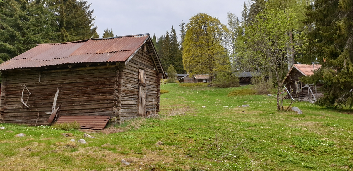 Byggnader, ladugård, stugor, Finnsåsens fäbodar, Borlänge, 2019.