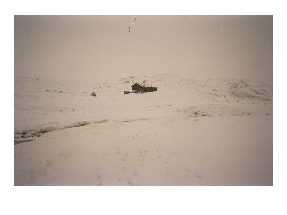 Tidlig snø på Vidalega under ettersanking av sauer på hausten.