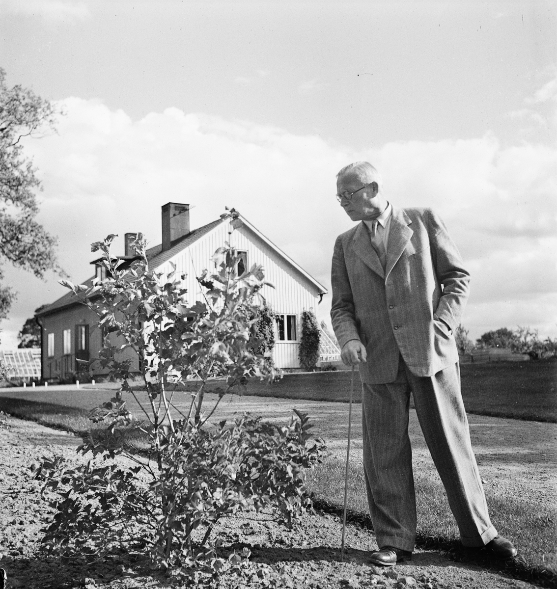 Professor Turesson, Lantbrukshögskolan, Ultuna, Uppsala 1947