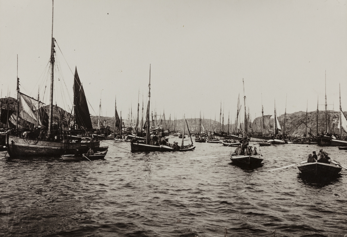 Vårsildfiske omkring 1900.