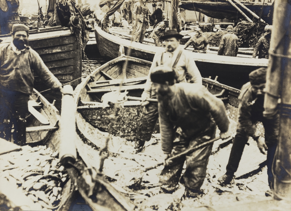 Garnsildfiskere under vårsildfisket på Haugesunds havn, ca. 1905.