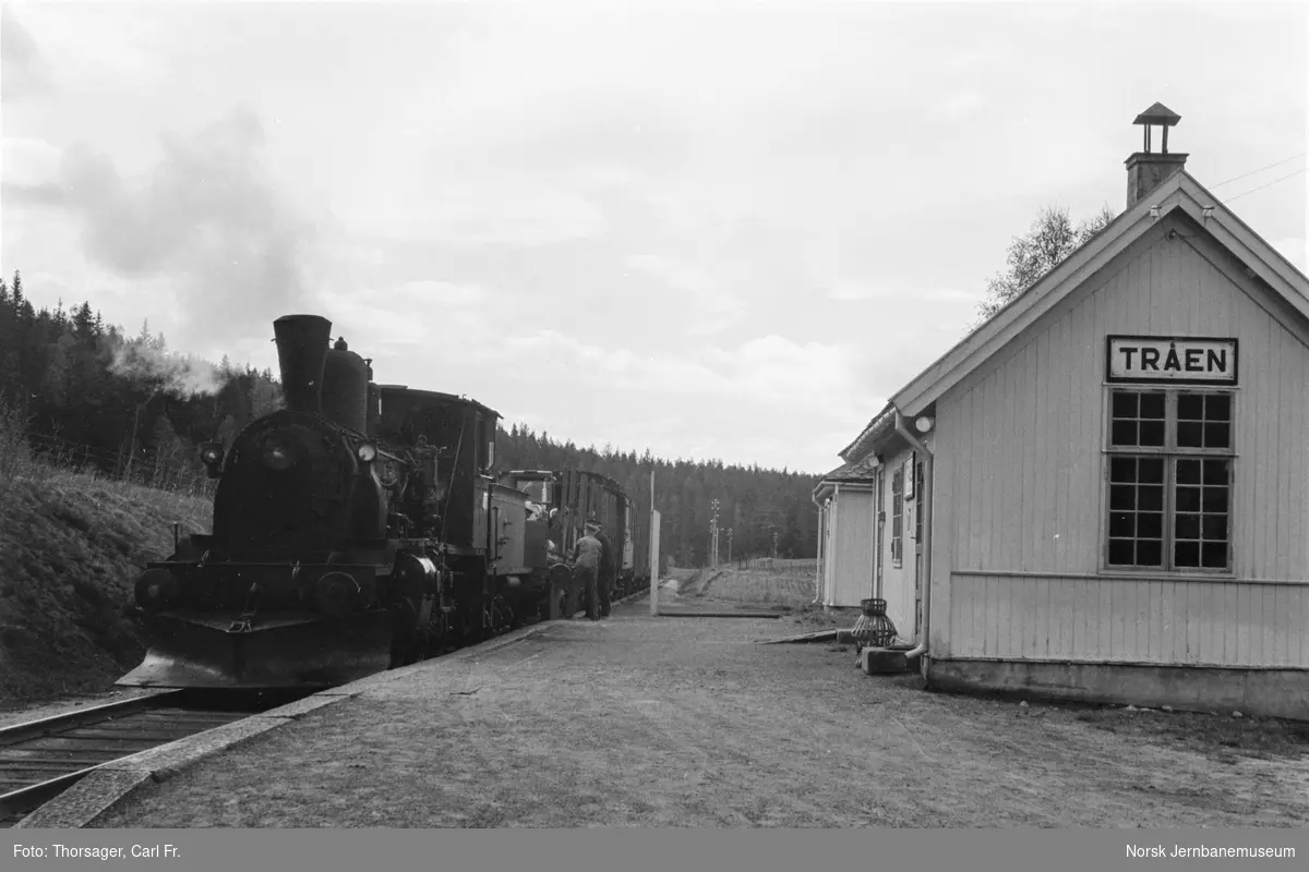 Damplokomotiv type 21b nr. 252 med godstog til Rødberg på Tråen holdeplass.