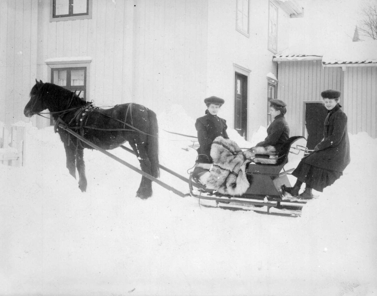 Repro: Gårdsplass med hest med spisslede, tre damer.