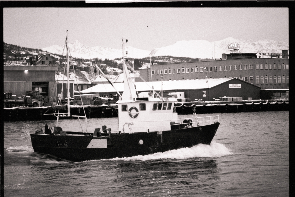 Fiskebåten "Tor Hugo".
