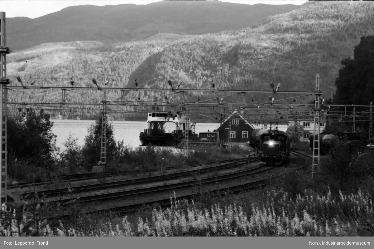 Mæl Stasjon med Ammonia og deler av Rjukanbanen.