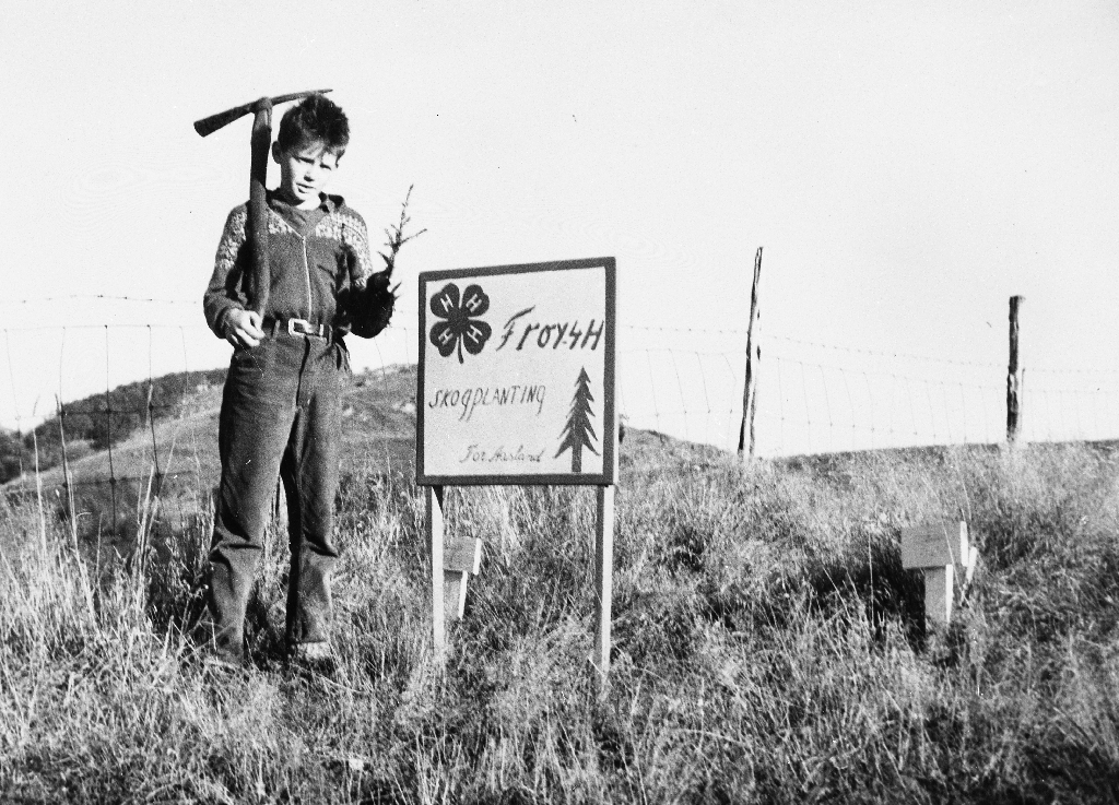 Tor Aasland (1946 - ) med hakke og granplante attmed skiltet som viser Frøy 4H sitt skogplantingsfelt.