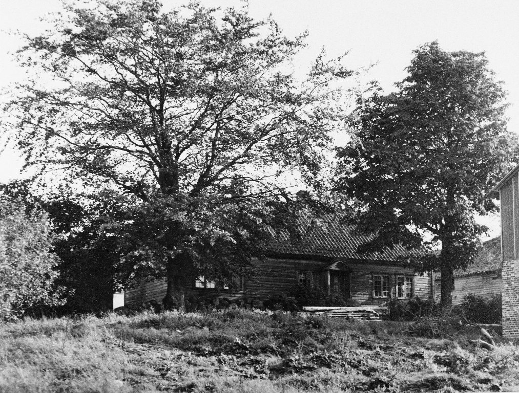 Det gamle stovehuset til Tønnes G. Kverneland. Stolpabua til venstre og til høgre det nye stovehuset, bygd ca 1950. Den gamle løa kan skimtast bak. Plantene til tuntrea - bøk og kastanje - kom frå Åsland.
Sjå også 1988.5TIM.1.020.