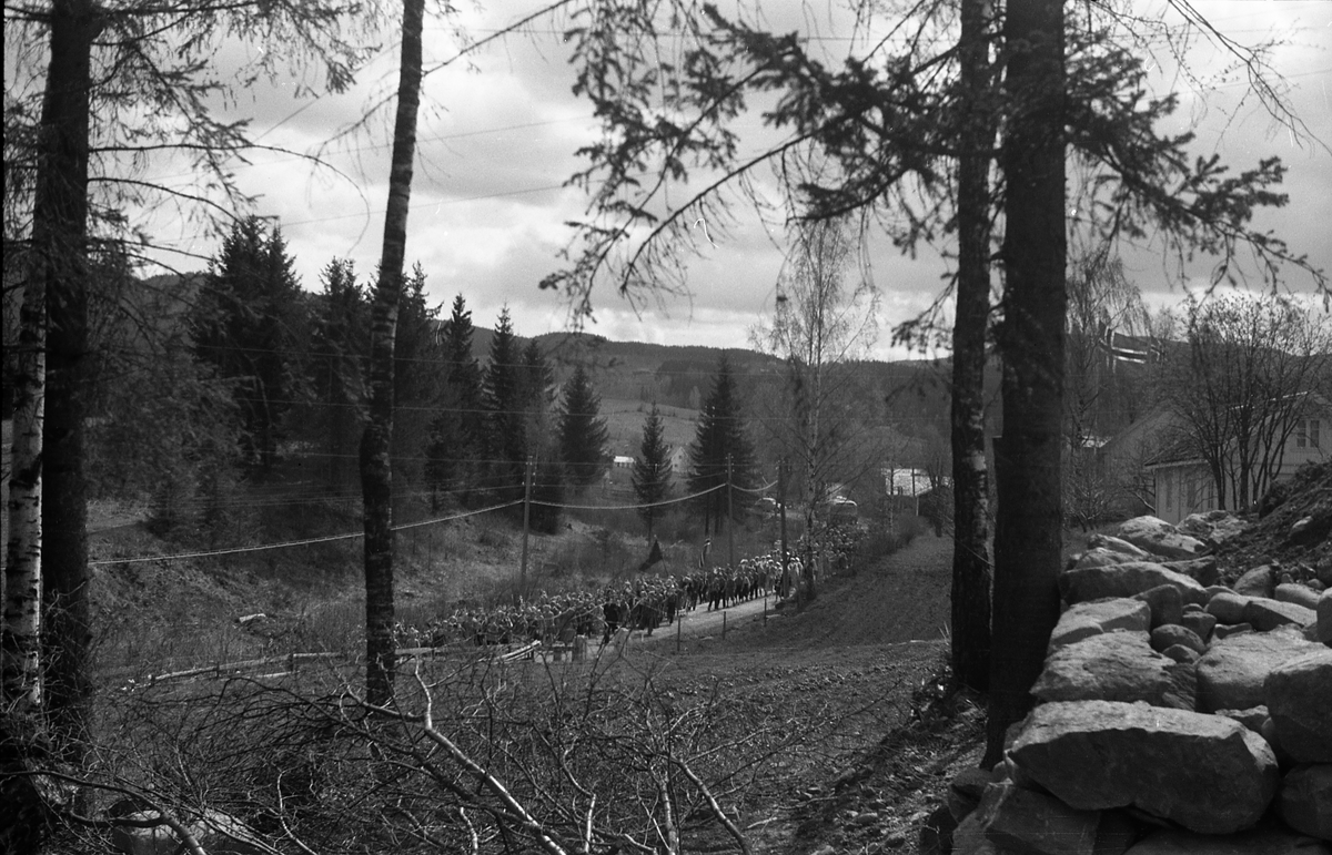 Tre avfotograferte bilder av et 17-mai tog. Fotografens standplass har trolig vært der Torstein Narums Minne på Skreia nå er. Opptoget trolig på tur fra Stange Skole til Skreia, og skal snart passere Kjølset Brenneri.