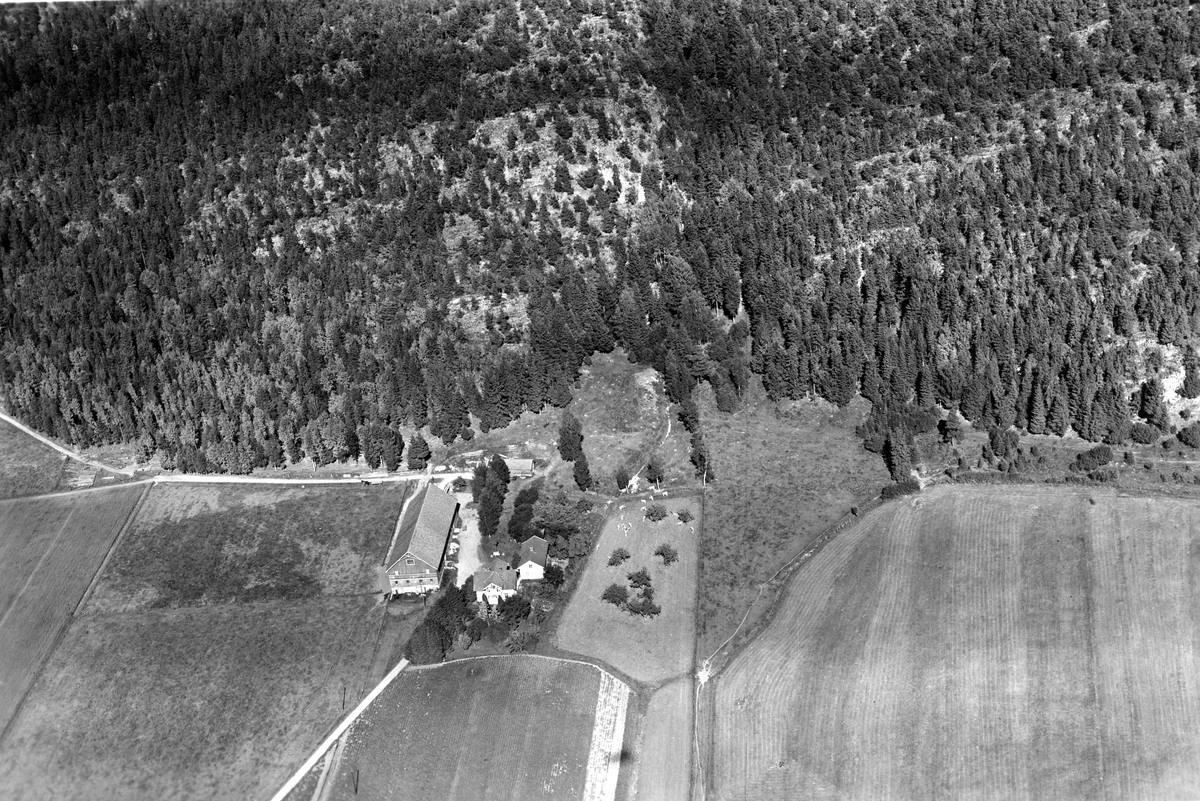 Flyfotoarkiv fra Fjellanger Widerøe AS, fra Porsgrunn Kommune, Valler Gård. Fotografert 30/07-1951. Fotograf Otto Hansen