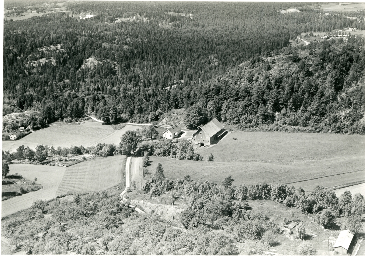 Flyfotoarkiv fra Fjellanger Widerøe AS, fra Porsgrunn Kommune, Tråholt. Fotografert 14/06-1953. Fotograf Vilhelm Skapper