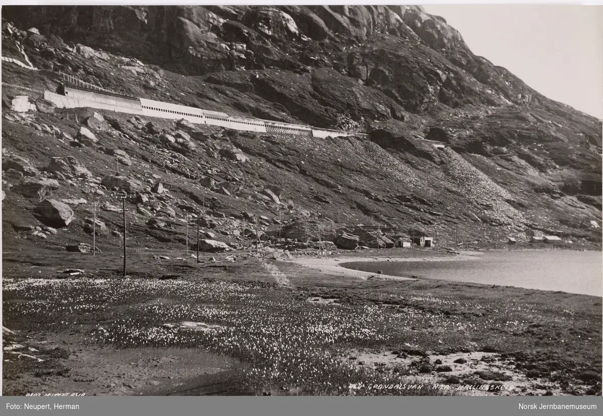 Bergensbanen i fjellsiden mellom Hallingskeid og Myrdal; buer i forgrunnen