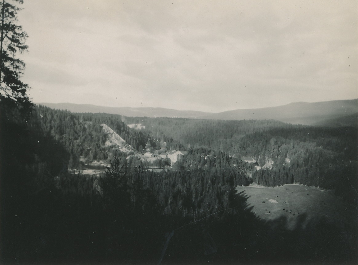 Utsiktsbilde over skogslandskap med fabrikkområde omtrentlig midt i bildet. Jorde med beitende kyr i høyre hjørne av bildet.